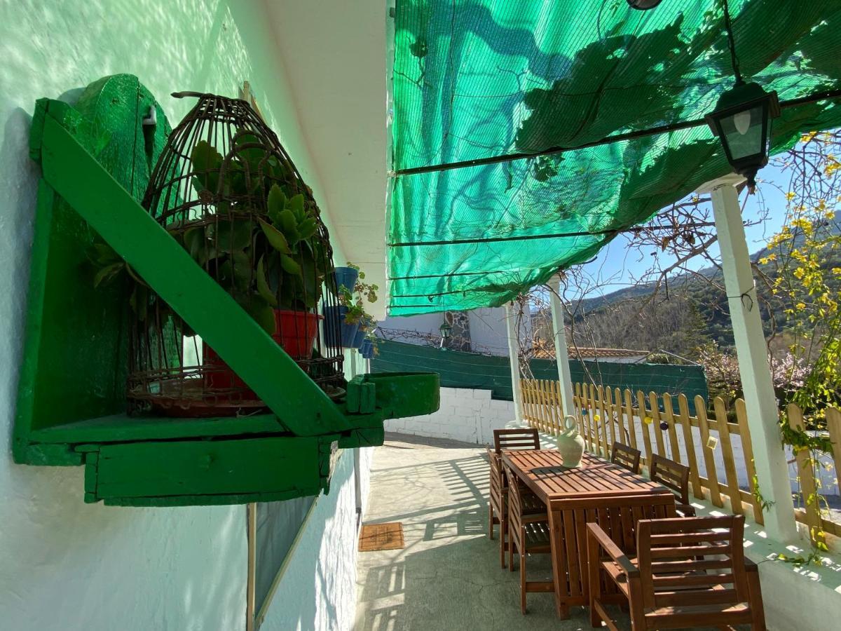La Huerta Del Castillo Con Su Caz De Agua - Enjoy Life & Relax Castillo de Locubin Exterior photo